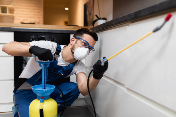 Best Mosquito Control Services  in Moreno Valley, CA