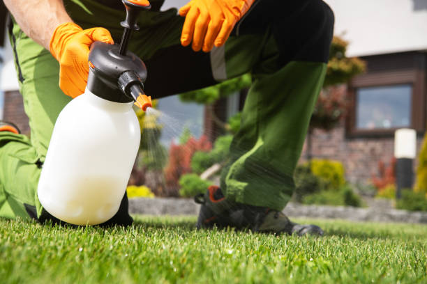 Best Pest Control Treatment  in Moreno Valley, CA
