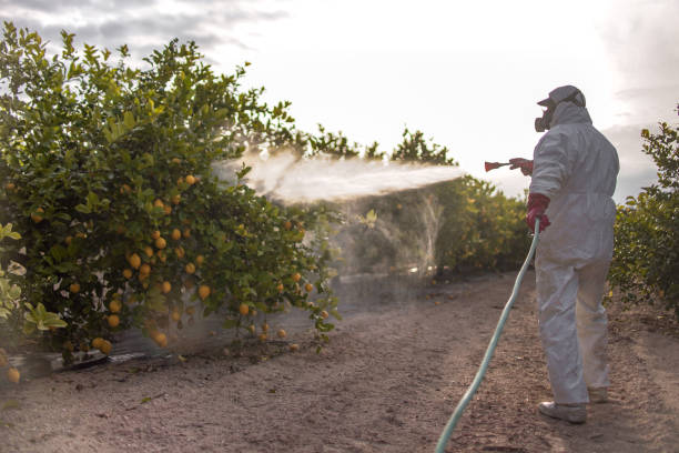 Best Pest Inspection Near Me  in Moreno Valley, CA