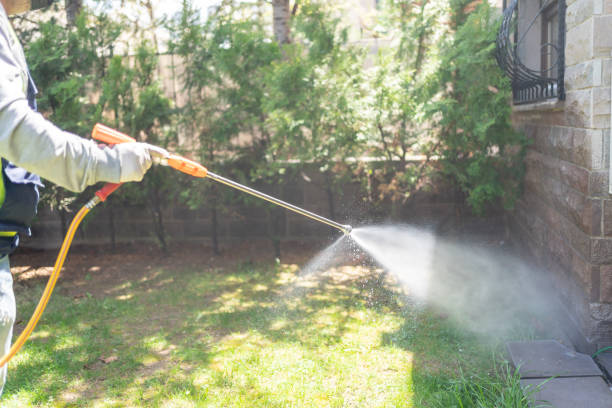 Best Mosquito Control Services  in Moreno Valley, CA