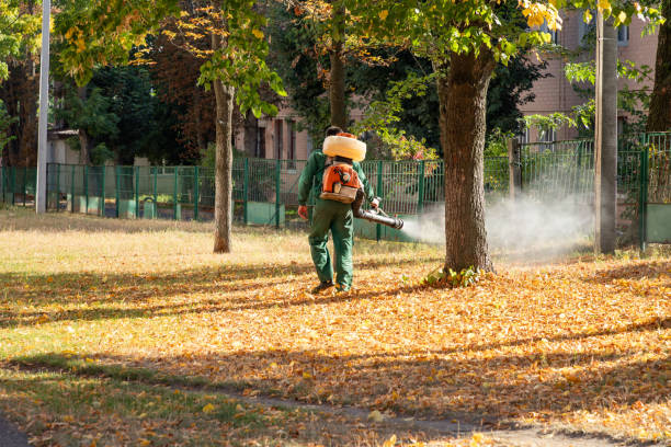 Best Emergency Pest Control  in Moreno Valley, CA