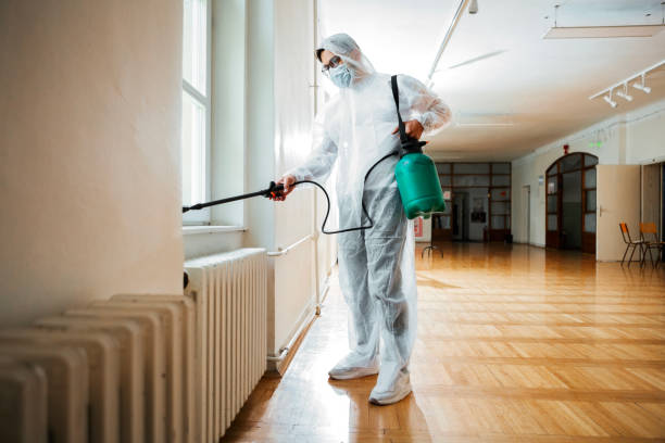 Best Flea Control Services  in Moreno Valley, CA