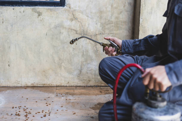 Best Affordable Pest Control Services  in Moreno Valley, CA